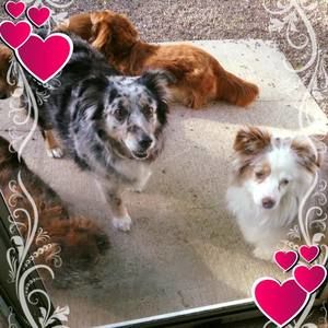 Meet your Posher, Cherie